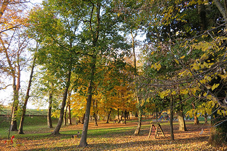 Vista del Parco Gaspari