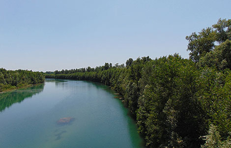 Tratto sul fiume Tagliamento allo stato attuale